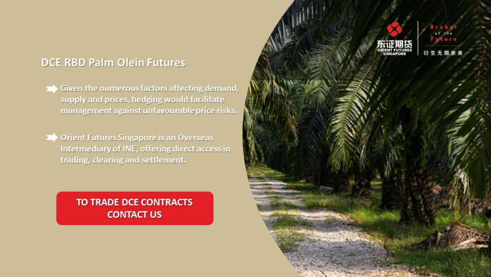 DCE RBD Palm Olein Futures