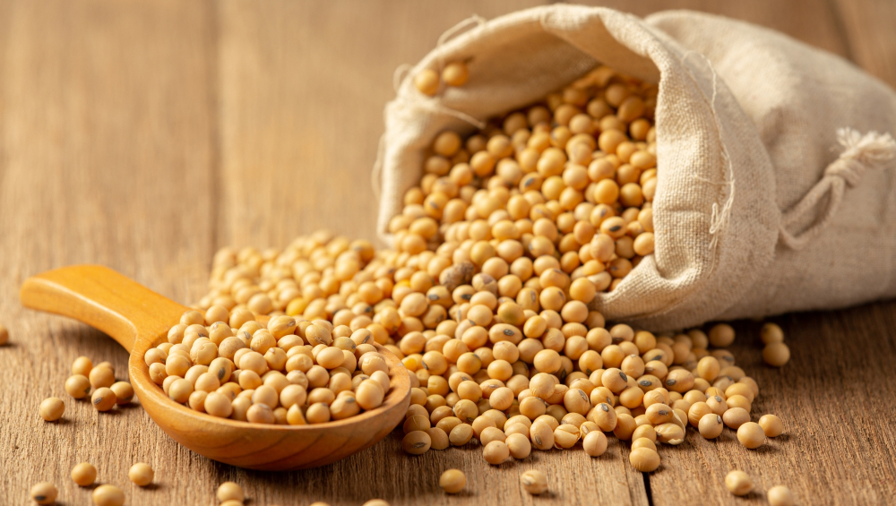 Raw soybeans spilling out of a cloth sack onto a wooden table, with a wooden spoon holding a scoop of beans.