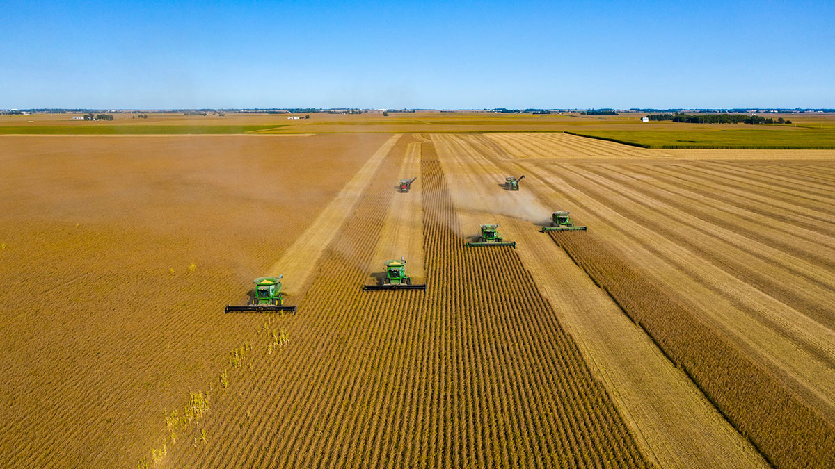 Aerial view of five green combine harvesters working in parallel rows across a vast, dry agricultural field during harvest season.