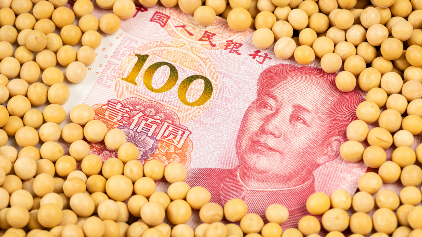 A Chinese 100-Yuan banknote surrounded by an abundance of soybeans, symbolizing agricultural trade.