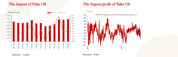 Import and Import Profit of Palm Oil