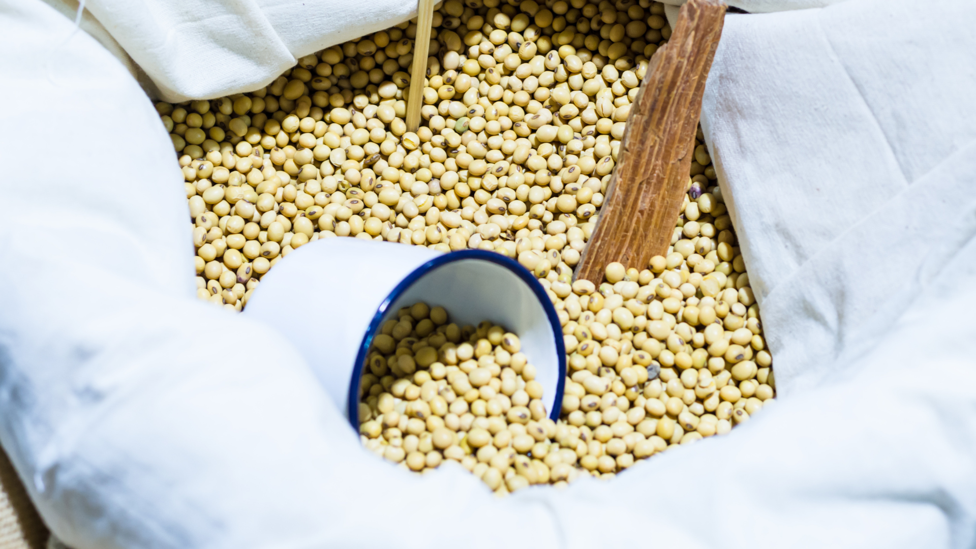 Dry soybeans in a cloth sack with a cup and wooden scoop.