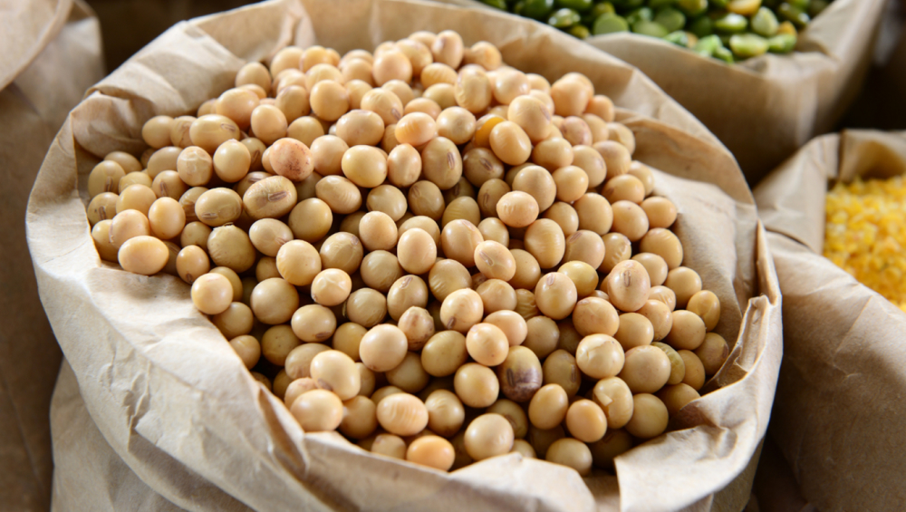 A close-up of light yellow soybeans filling an open, brown paper sack, with other grain sacks visible in the background.