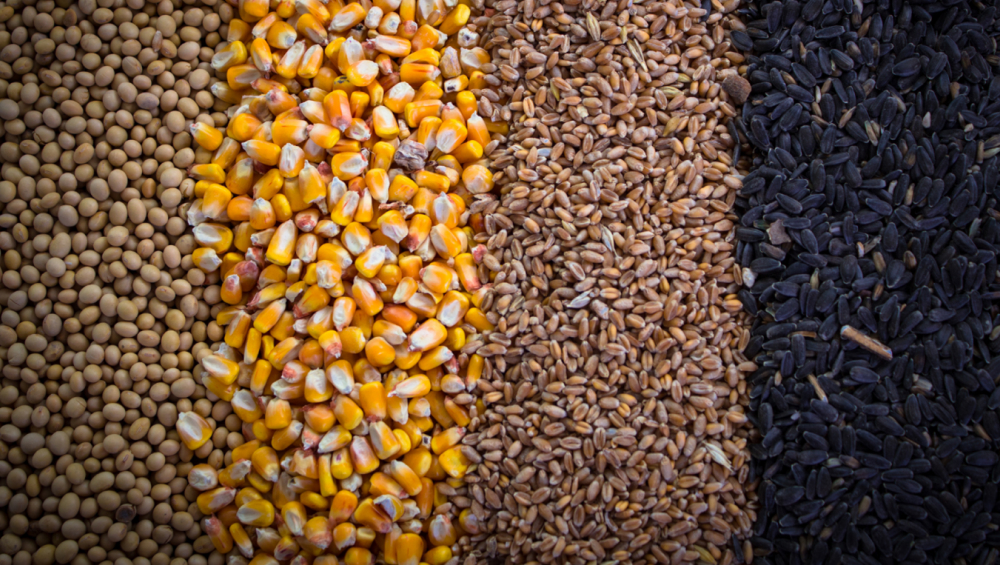 Hand holding a magnifying glass over a map or chart to analyze a specific geographic location.