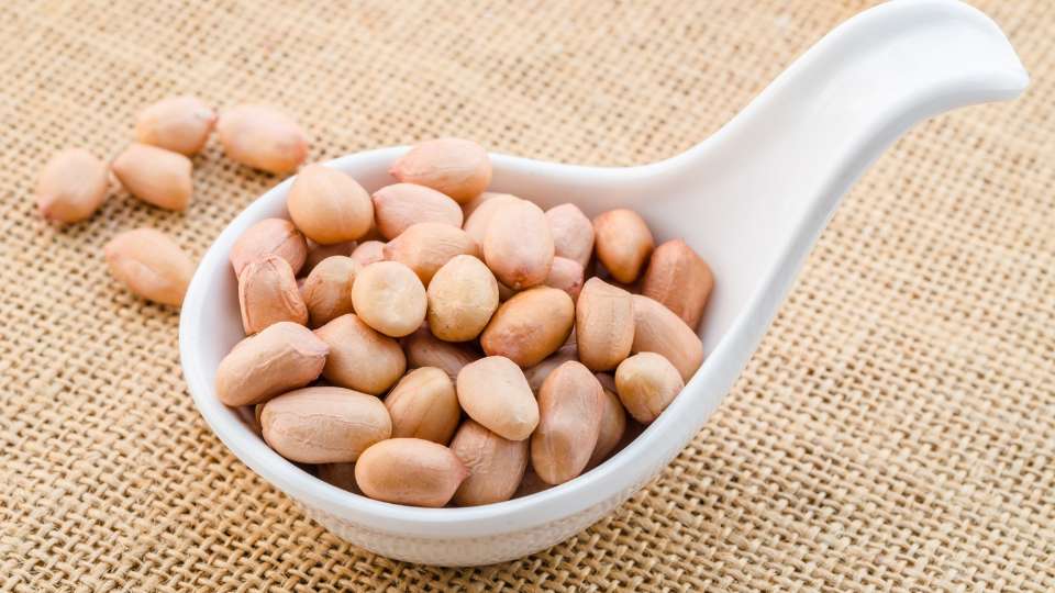 Shelled, unroasted peanuts, mostly pinkish and tan in color, filling a small white, ergonomic spoon-shaped dish on a burlap surface.
