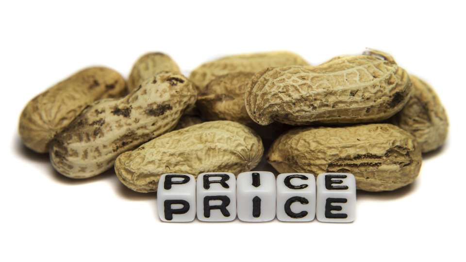 A small cluster of peanuts in the shell next to white dice or letter blocks spelling out the word "PRICE" twice.