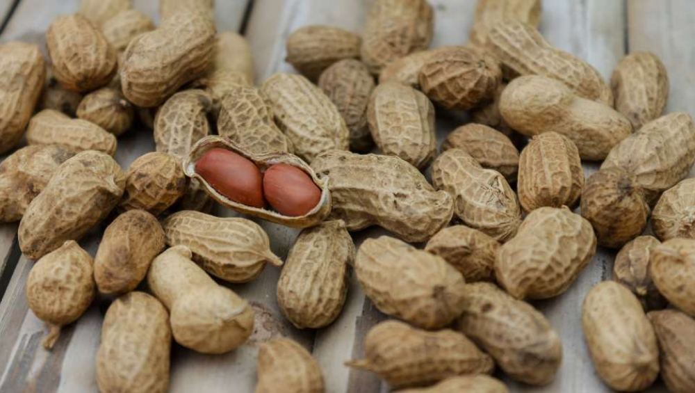 A large pile of dried peanuts still in their beige, textured shells, scattered on a wooden surface, with one shell cracked open showing two reddish kernels.