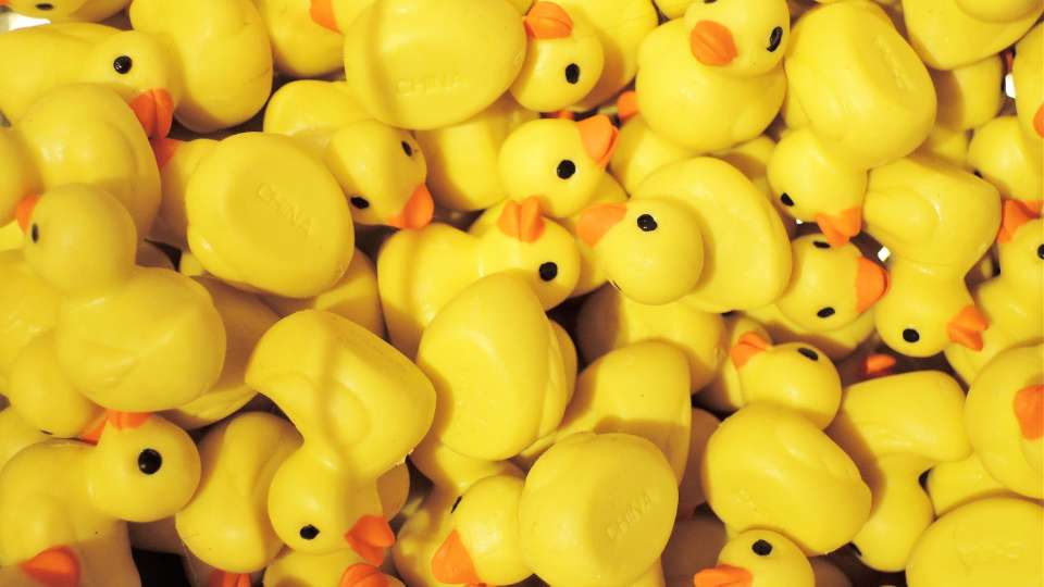 Pile of yellow rubber duck toys with orange beaks.