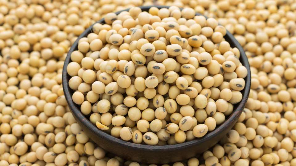 Close-up of a dark wooden bowl filled with dry, light-colored soybean seeds, surrounded by more beans.