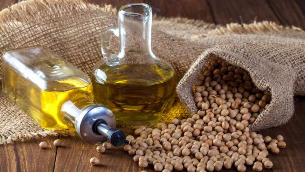 Soybean seeds spilling from a burlap sack next to two clear bottles of soybean oil, all on a wooden surface.