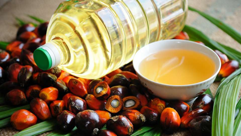 Palm oil in a plastic bottle placed beside fresh palm fruits and a bowl of extracted oil.