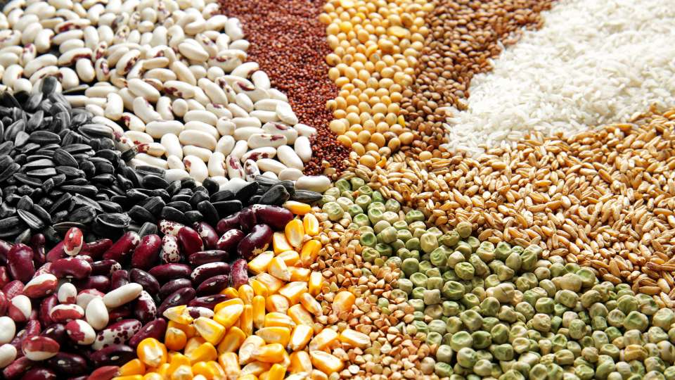 Close-up pattern of diverse dry grains, beans, and seeds like white beans, kidney beans, corn, rice, and sunflower seeds.