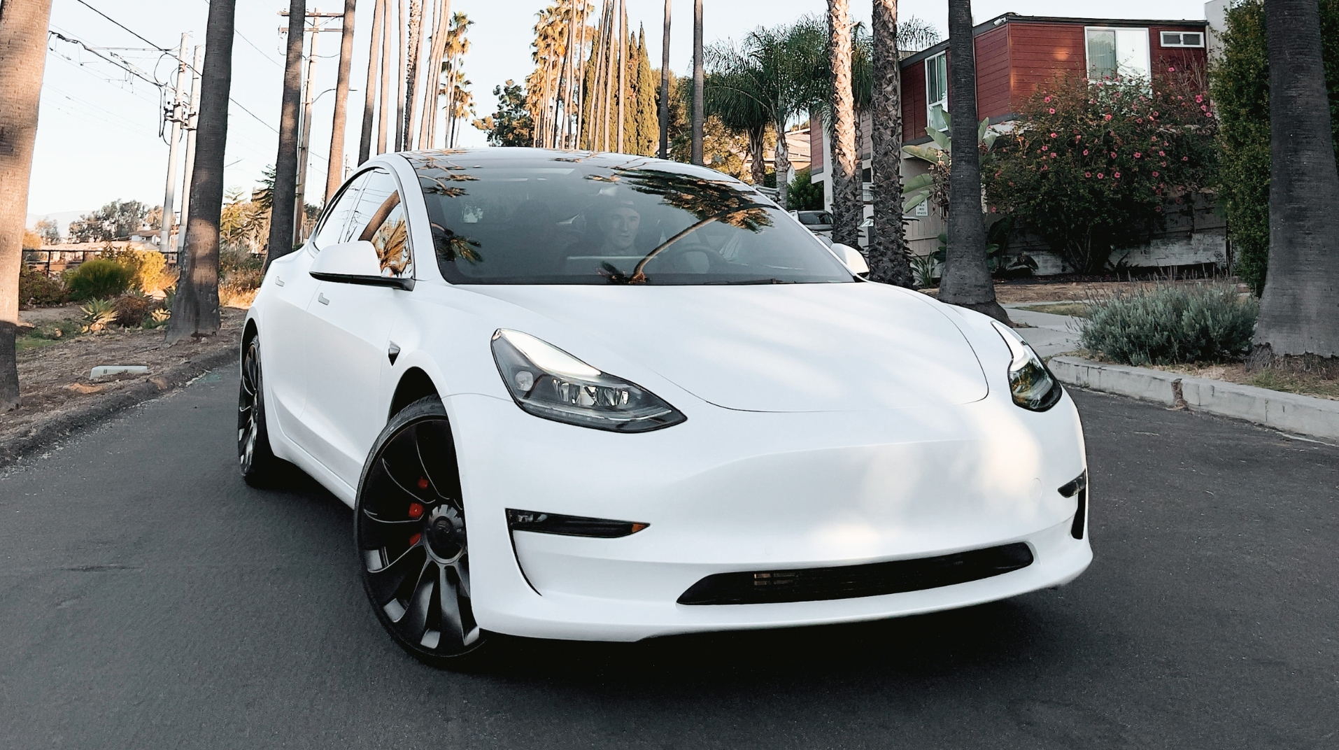 White Tesla Model 3 parked on a palm-lined street in California.