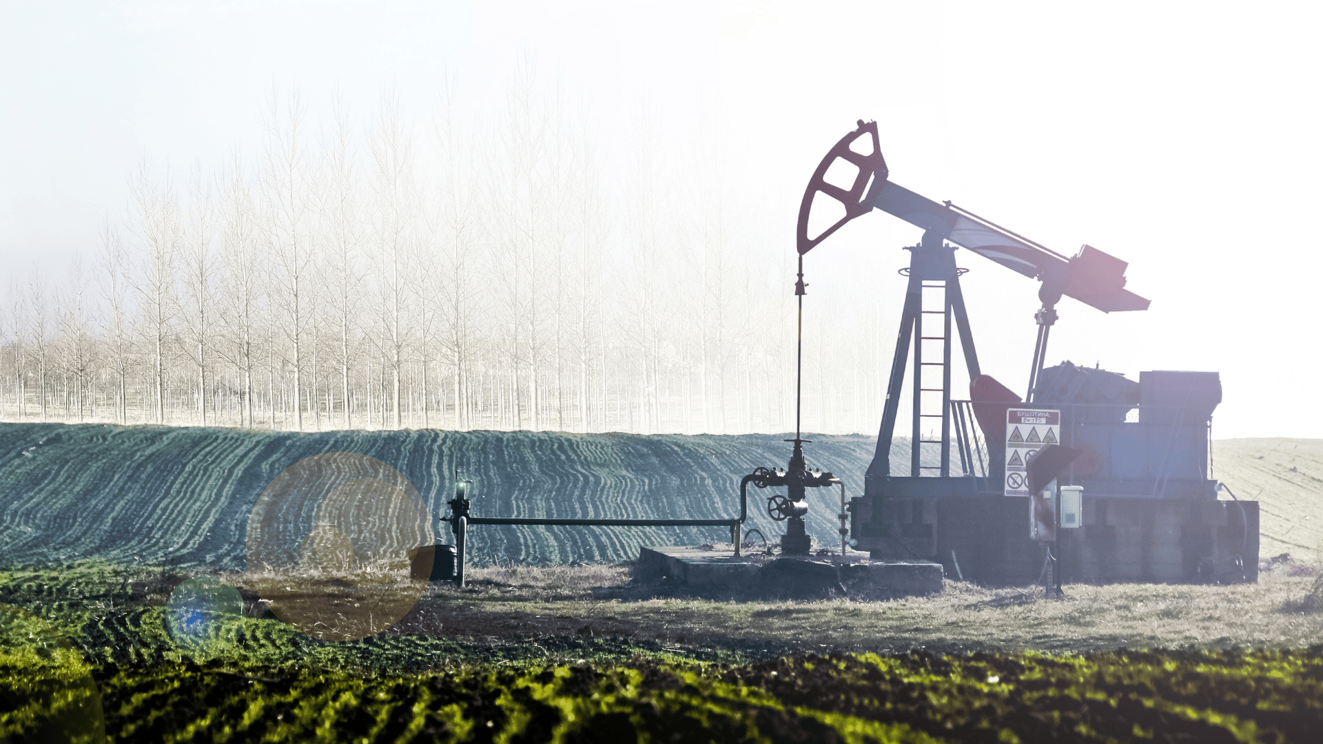 Oil pump jack operating in a rural field with trees and morning sunlight.