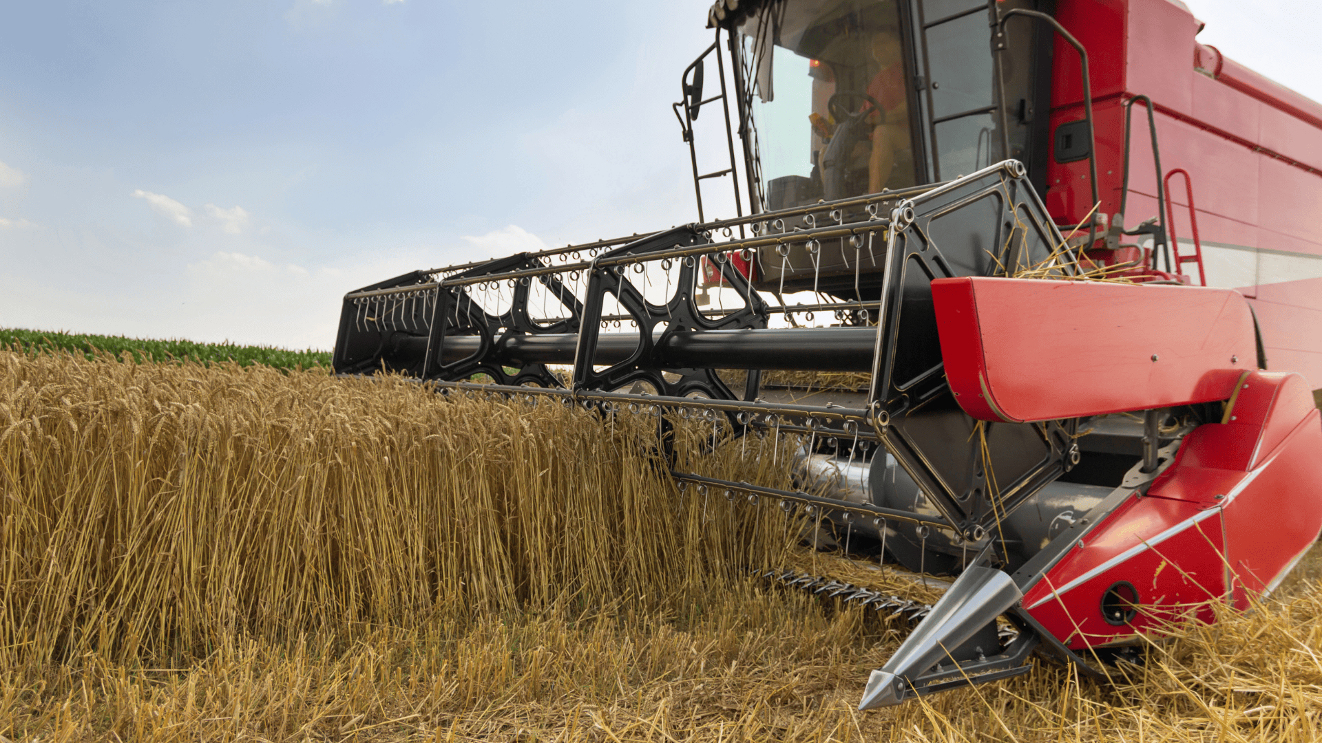 Modern combine harvester reaping golden wheat, symbolizing agricultural progress and harvest efficiency.