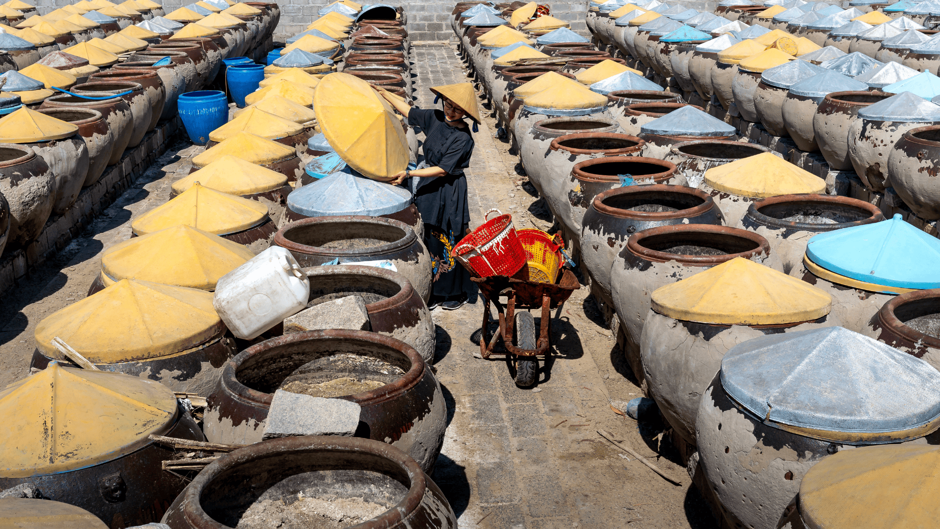 Worker managing rows of large clay fermentation jars with colorful lids at a traditional production site.