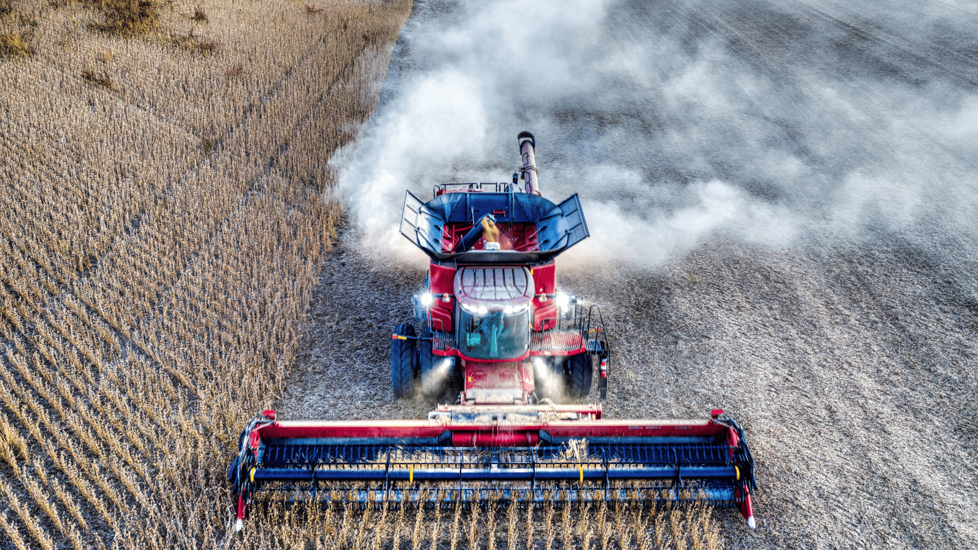 A red combine harvester working through a dry crop field, producing dust as it harvests grain.