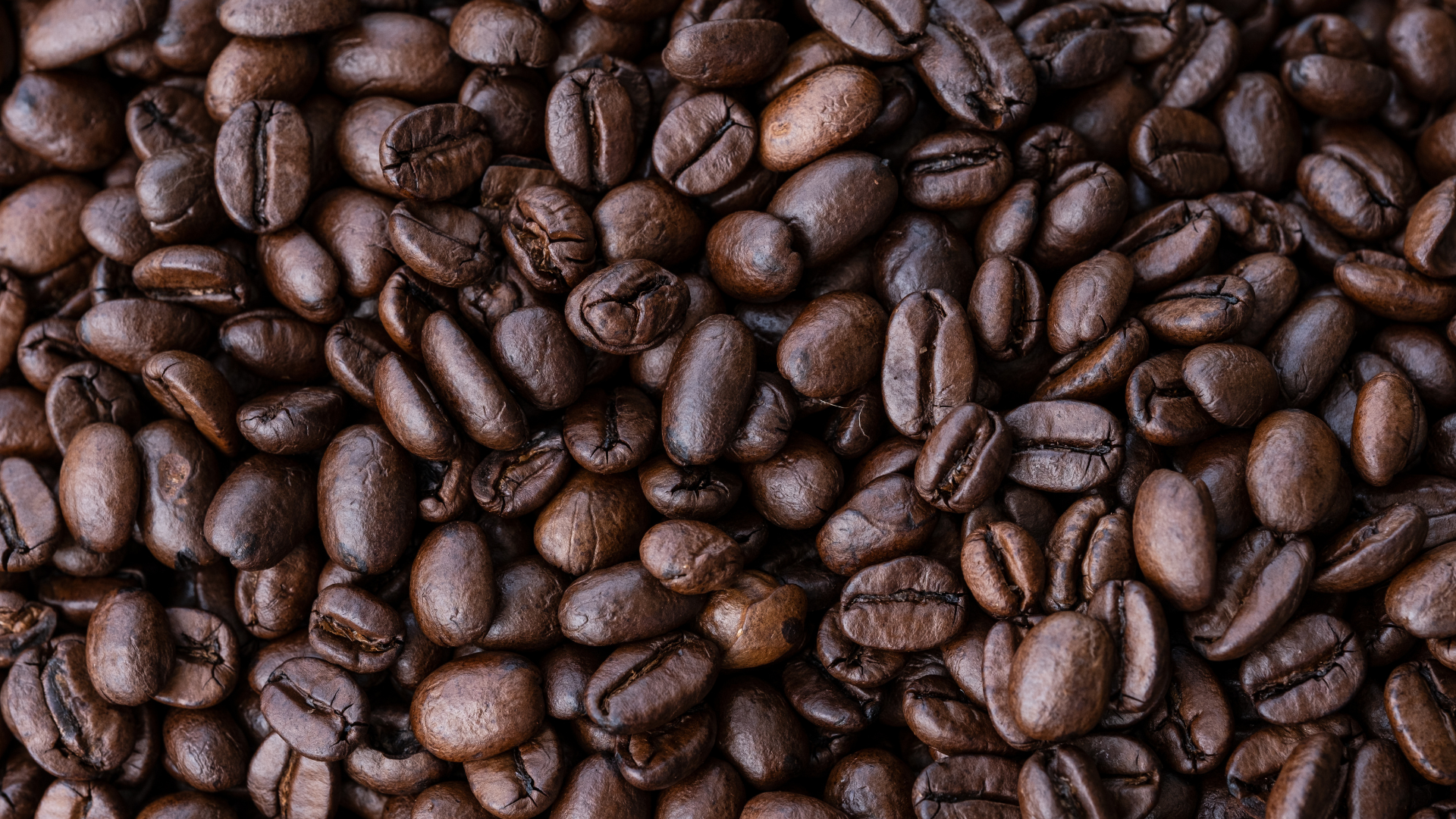 Close-up of dark roasted coffee beans scattered across a surface.