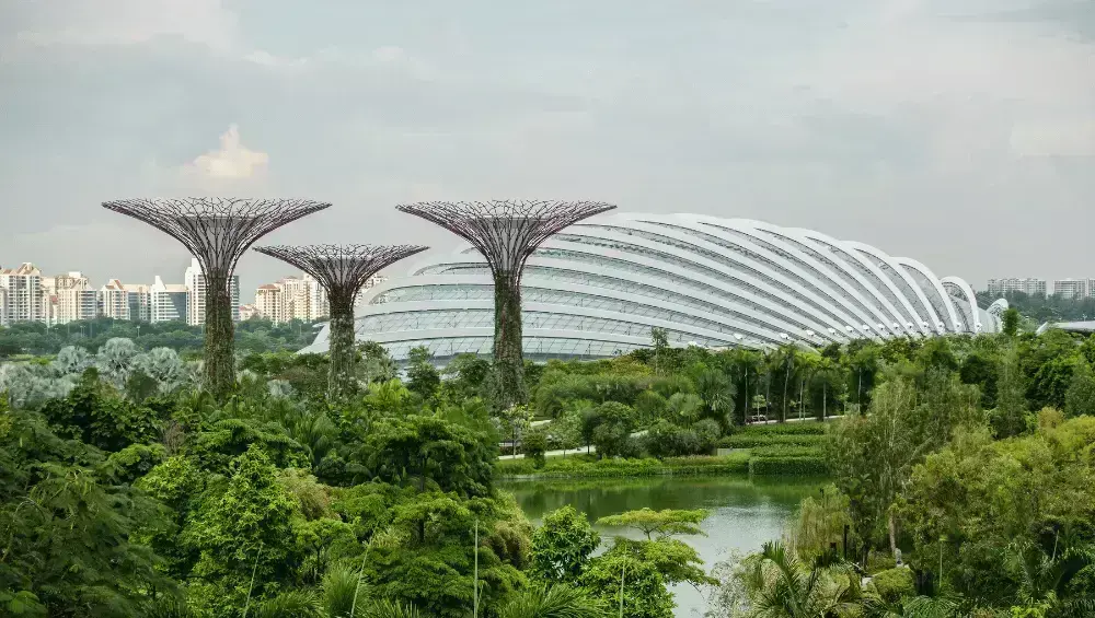 Gardens by the Bay with Supertree Grove and glass conservatories in Singapore